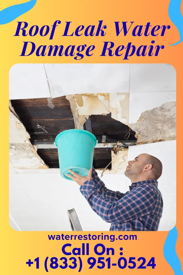 Roof Leak Water Damage Repair in Cocoa, FL